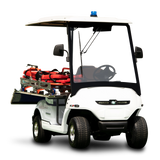 Special Purpose Electric Vehicles