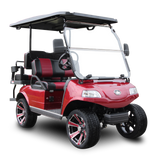 Turfman Classic 4 Plus